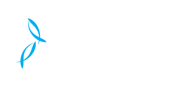 New Zealand King Salmon