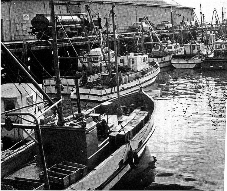 Port Nelson 1974 fishing boats (Photo - The Prow)