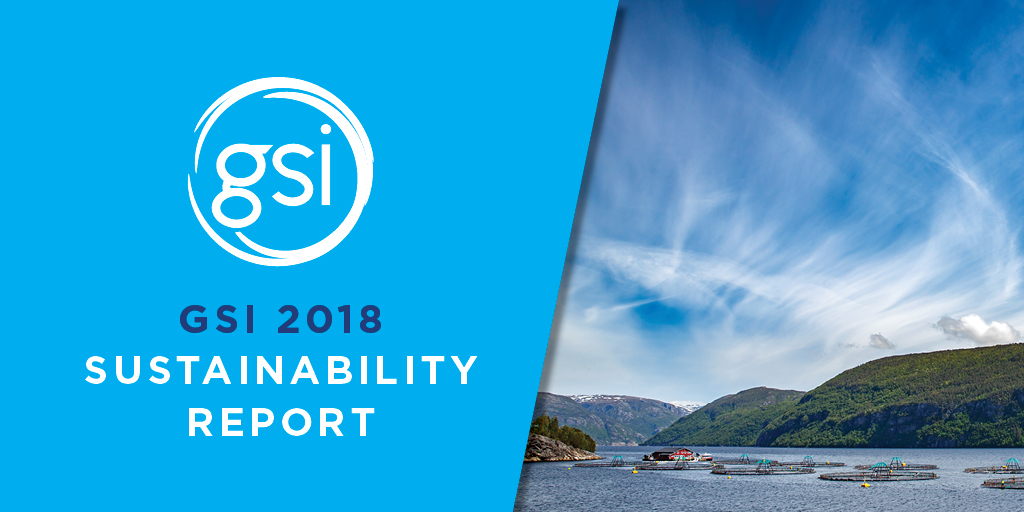 2018 GSI Sustainability Report launches – setting a new bar in transparency