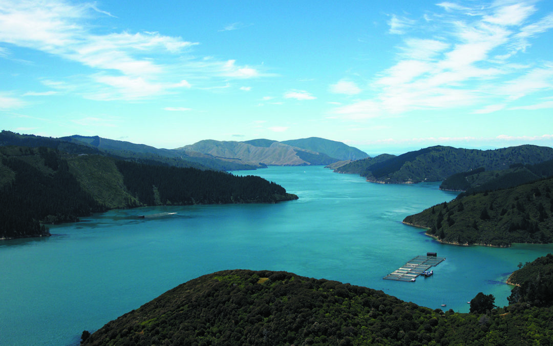 NZ Government delivers plan for world-leading aquaculture industry