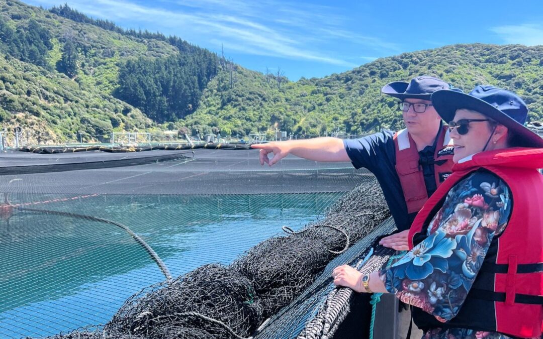New Zealand King Salmon Celebrates New Aquaculture Diving Graduates